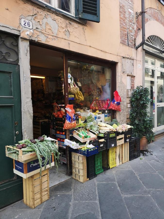 Ferienwohnung La Chiocciolina Lucca Exterior foto